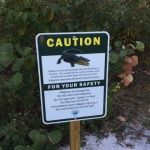 Attention aux crocodiles!