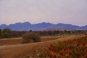 Un paysage du Nouveau-Mexique